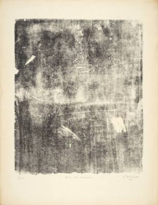 Wall of Memories (Mur aux souvenirs), plate 5 from portfolio 4 titled The Taker of Imprints (Le Preneur d'empreintes), from the Phenomena (Les Phénomènes) series