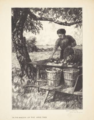The Shadow of the Apple Tree