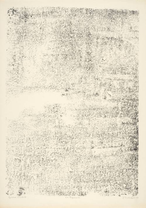 Tapistry (La tapisserie), plate 3 from portfolio 7 titled Territories (Territoires), from the  Phenomena (Les Phénomènes) series