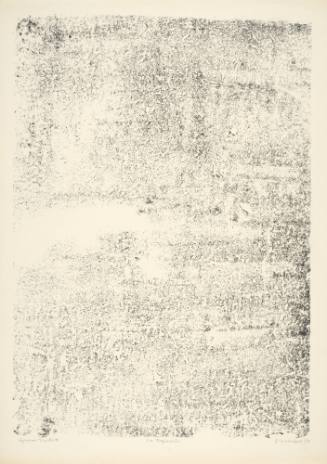 Tapistry (La tapisserie), plate 3 from portfolio 7 titled Territories (Territoires), from the  Phenomena (Les Phénomènes) series