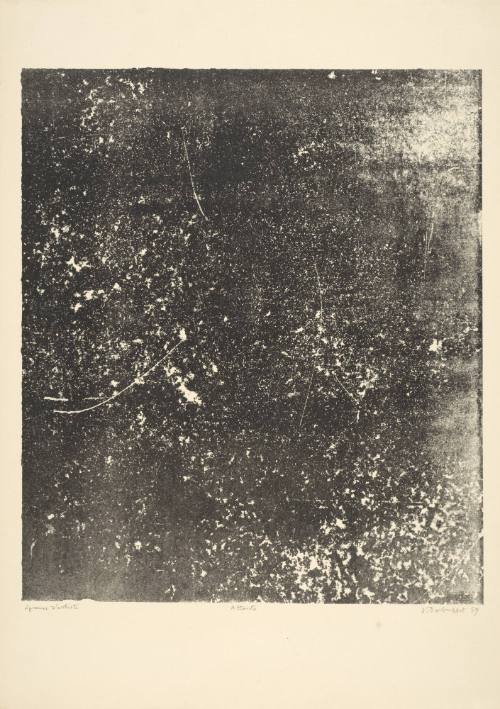 Expectation (Attente), plate 15 from portfolio 7 titled  Territories (Territoires), from the Phenomena (Les Phénomènes) series
