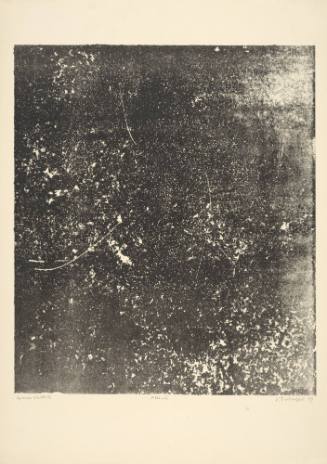 Expectation (Attente), plate 15 from portfolio 7 titled  Territories (Territoires), from the Phenomena (Les Phénomènes) series