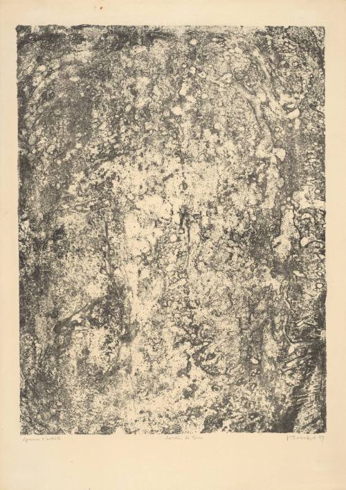 Earth Garden (Jardin de terre), plate 17 from  portfolio 7 titled Territories (Territoires), from the Phenomena (Les Phénomènes) series