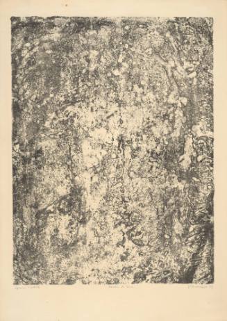 Earth Garden (Jardin de terre), plate 17 from  portfolio 7 titled Territories (Territoires), from the Phenomena (Les Phénomènes) series