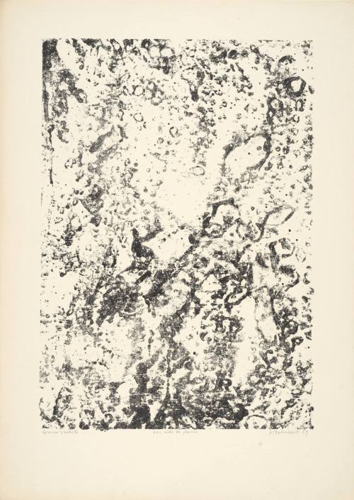 Nest of stones (Les nids de pierres), plate 6 from portfolio 8 titled Theater of the Earth (Théâtre du sol), from the  Phenomena (Les Phénomènes) series