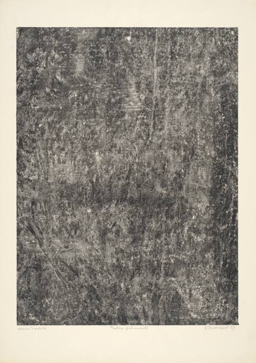 Quivering Texture (Texture frémissante), plate 14 from  portfolio 9 titled Soil, Earth (Sols, Terres), from the Phenomena (Les Phénomènes) series