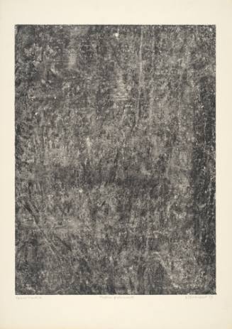 Quivering Texture (Texture frémissante), plate 14 from  portfolio 9 titled Soil, Earth (Sols, Terres), from the Phenomena (Les Phénomènes) series