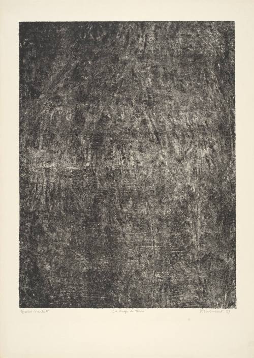 Sheet of Earth (Le drap de terre) plate 15 from portfolio 9 titled  Soil, Earth (Sols, Terres), from the Phenomena (Les Phénomèmes) series