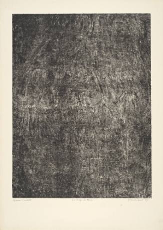 Sheet of Earth (Le drap de terre) plate 15 from portfolio 9 titled  Soil, Earth (Sols, Terres), from the Phenomena (Les Phénomèmes) series