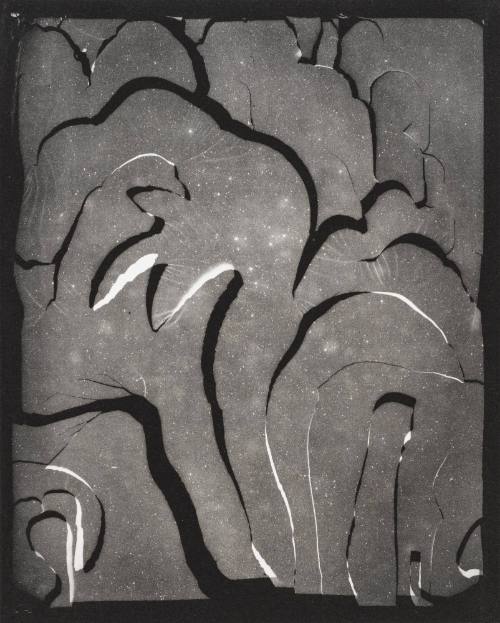 Gordon  Grant