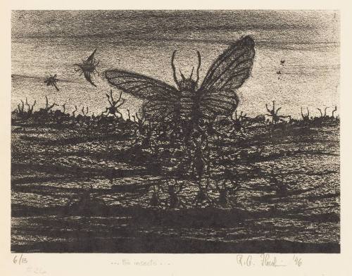 Insects