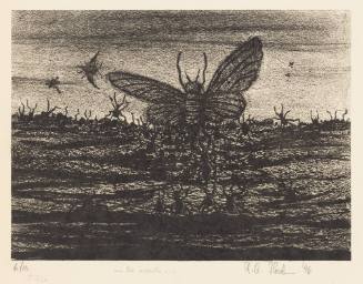 Insects
