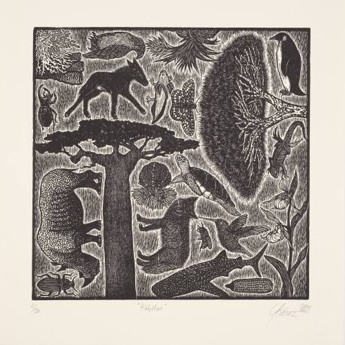 Medio Ambiente / Environment