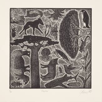 Medio Ambiente / Environment