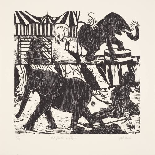 Educaión / Education (Elefante Negro)