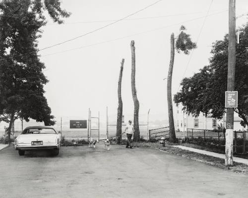 Man Walking Dalmatians, from the series Summer Days Staten Island
