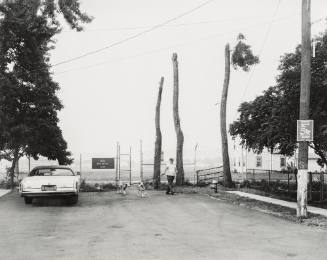 Man Walking Dalmatians, from the series Summer Days Staten Island