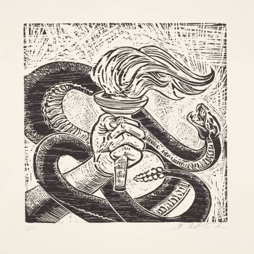 Democracy / Democracia