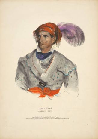 TAH-CHEE, a Cherokee Chief