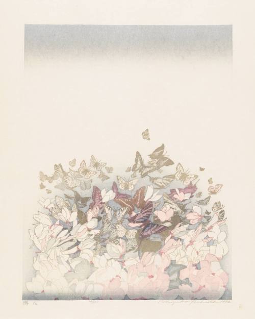 Butterflies, Foggy Afternoon