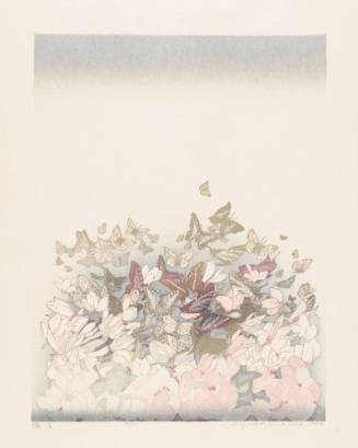 Butterflies, Foggy Afternoon