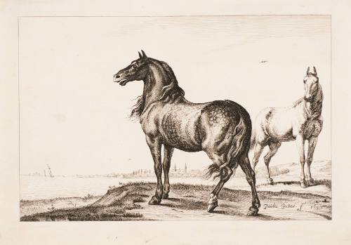 Untitled (The Neighing Horse)
