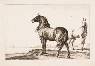 Untitled (The Neighing Horse)