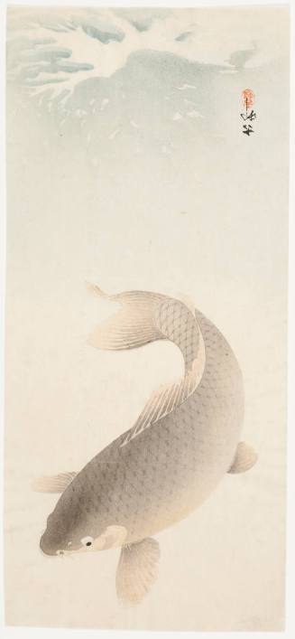 Leaping Carp