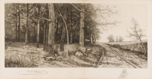 Road and Woods