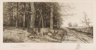 Road and Woods