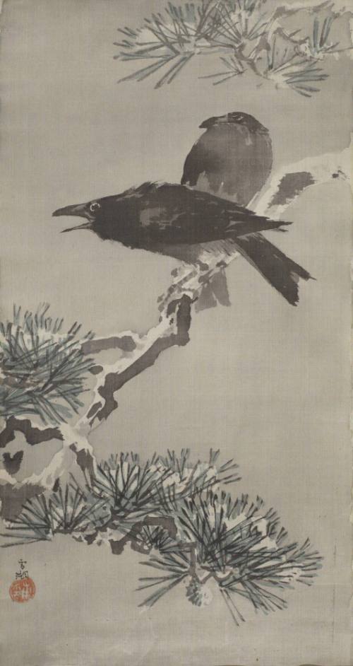 Crows on a Pine Branch