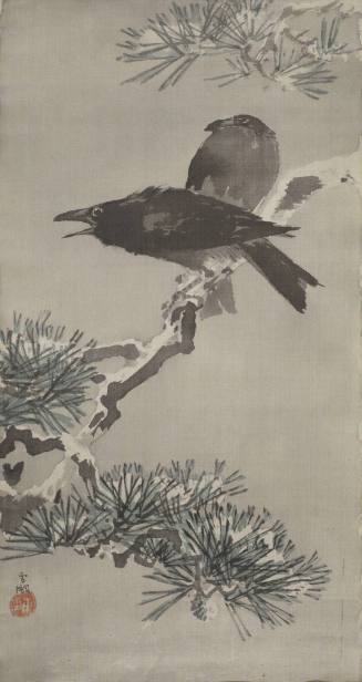 Crows on a Pine Branch