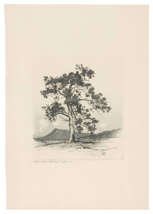 Windy Hill No. 7