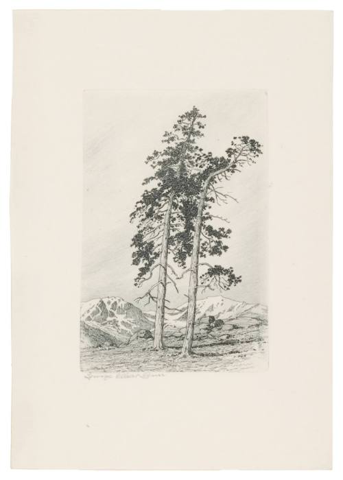 Windy Hill No. 6