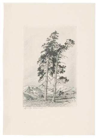 Windy Hill No. 6