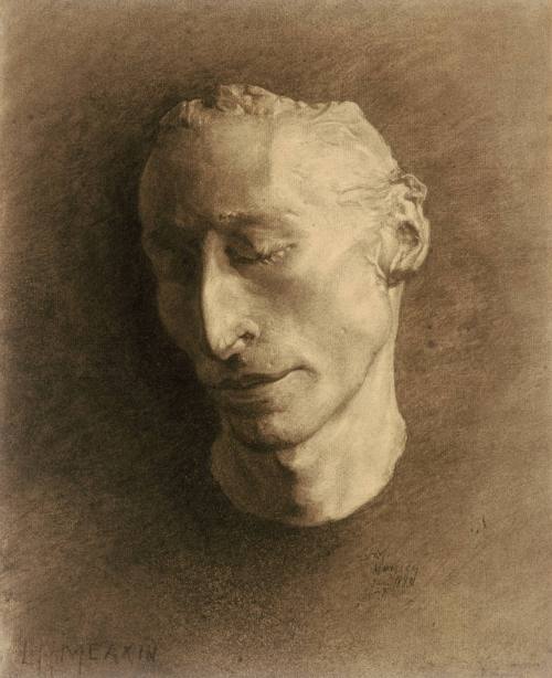 Study of Plaster Head