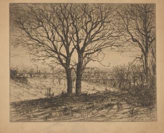 From the Park, Cincinnati, April 6, 1889