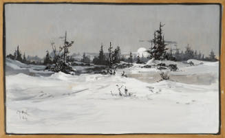 Wintry Day at Biddleford