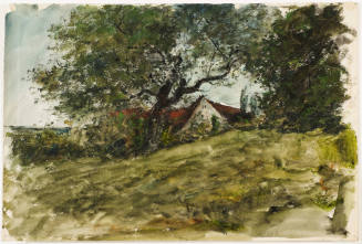 House Under the Trees