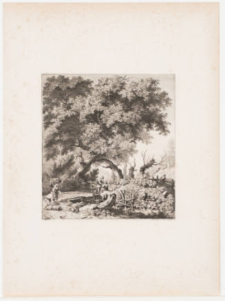 Two Slanted Trees Crossing Above a Wood Bridge