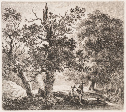 The Tree Trunk Lying Halfway in the Water