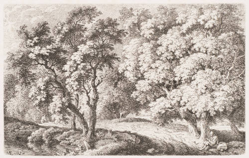 The Great Path Through the Forest