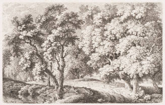 The Great Path Through the Forest