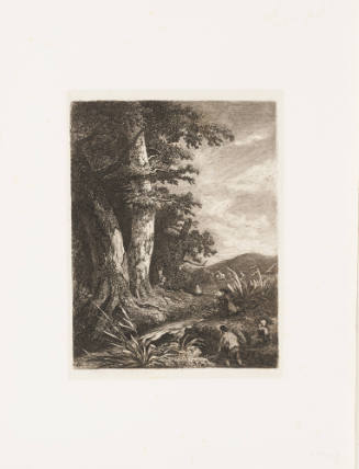 Swiss Landscape