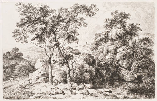 The Shepherd's Sleep