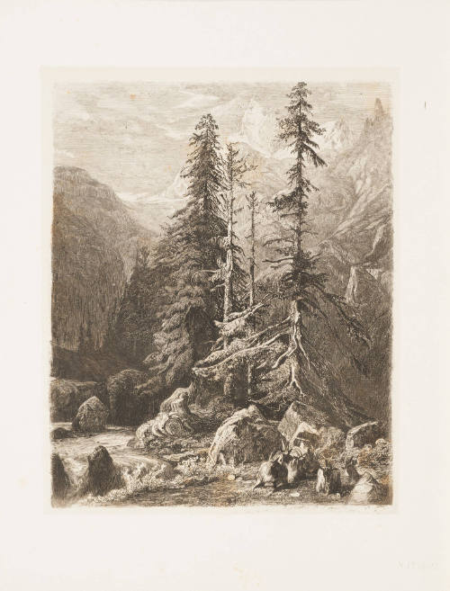 Swiss Landscape
