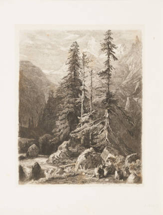 Swiss Landscape