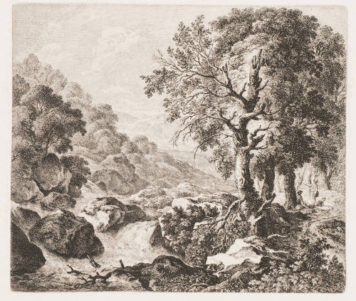 The Wood Peak on the Edge of a Torrent