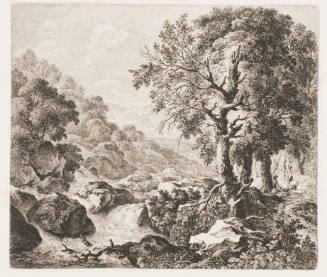 The Wood Peak on the Edge of a Torrent