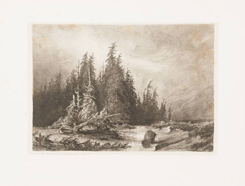 Swiss Landscape
